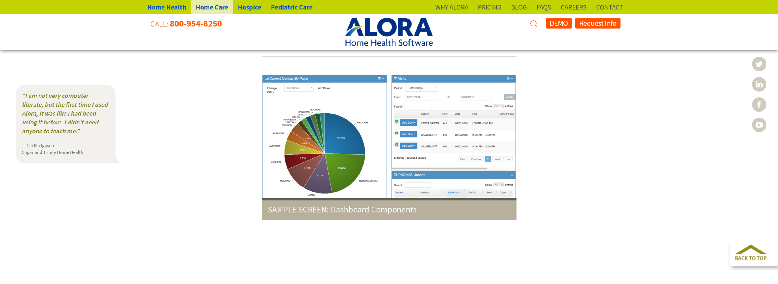 Home Health Charting Software